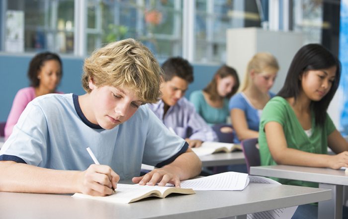 Schoolboy in high school class