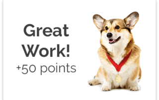 Gamified Practice Corgi Points