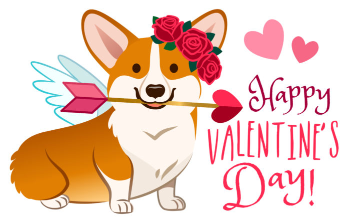 Funny corgi dog dressed as Cupid, with angel wings, rose flower wreath on head, heart arrow in mouth. Valentine's day, love, pets, dog lovers cartoon theme corgi design