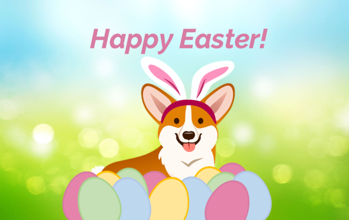 corgi easter activities classroom teens kids