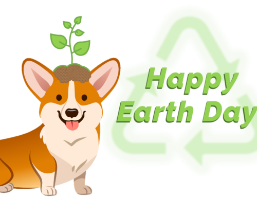 Free ELA Earth Day Activities for Students