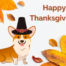 thanksgiving activities blog header corgi with a pilgrim hat