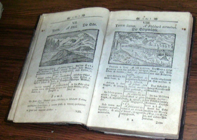 history of children's literature; a copy of Orbis Pictus, open to a page with illustrations of mountains and middle english writing below