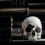 Spooky books to read for halloween, skull sitting on stacks of halloween books