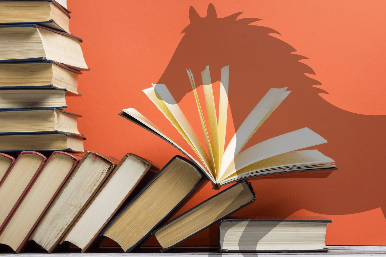 year of the horse reading