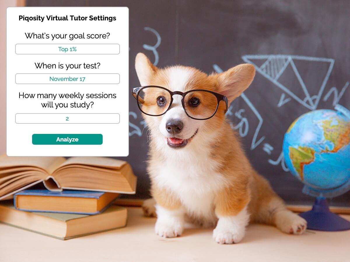 Piqosity Virtual Tutor Settings