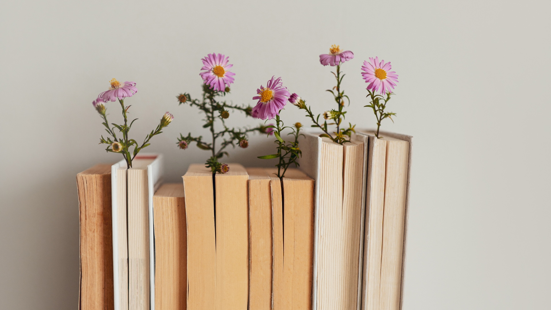 Poetry books standing up against a wall, decorated with pink, springtime flowers to celebrate national poetry month